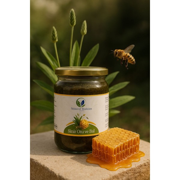 Sinir (Damar) Otu Bal Karışımı 700 gr