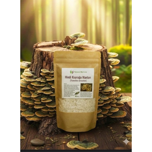 Hindi Kuyruğu Mantarı 100 gr (öğütülmüş)