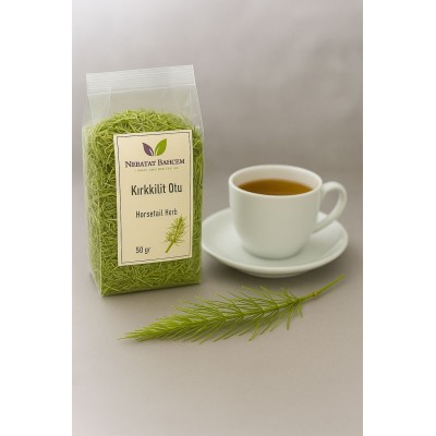 Kırkkilit otu Equisetum arvense