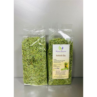 Kırkkilit otu Equisetum arvense