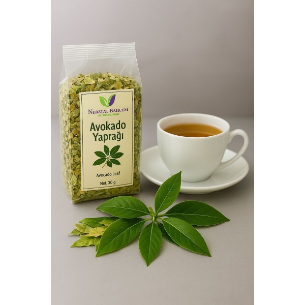 Avokado Yaprağı 60 gr