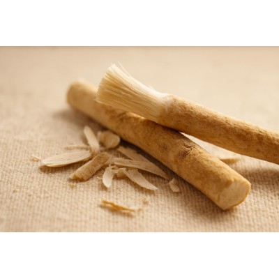 Yaş Doğal Misvak | Geleneksel Diş Temizleyici