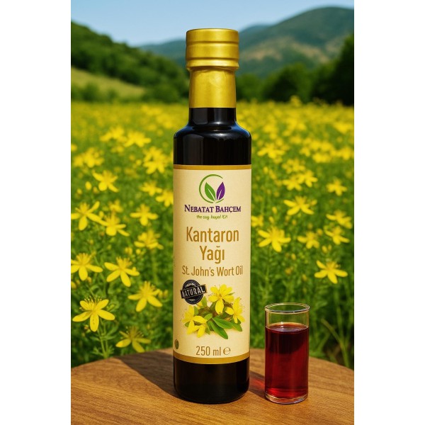 Kantaron Yağı 250 ml
