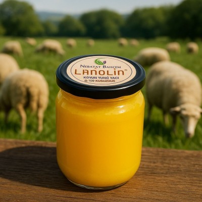 Büyük  Boy  Lanolin  210  ml