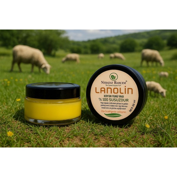 Lanolin Koyun Yünü Yağı 50 ml