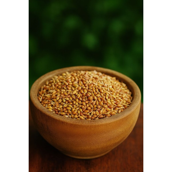 Süpürge Tohumu 200 gr