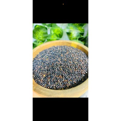 Sindirim ve Bağışıklık İçin Siyah Hardal Tohumu 100 Gr