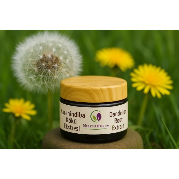 Kara Hindiba Kökü  Ekstresi 15 g