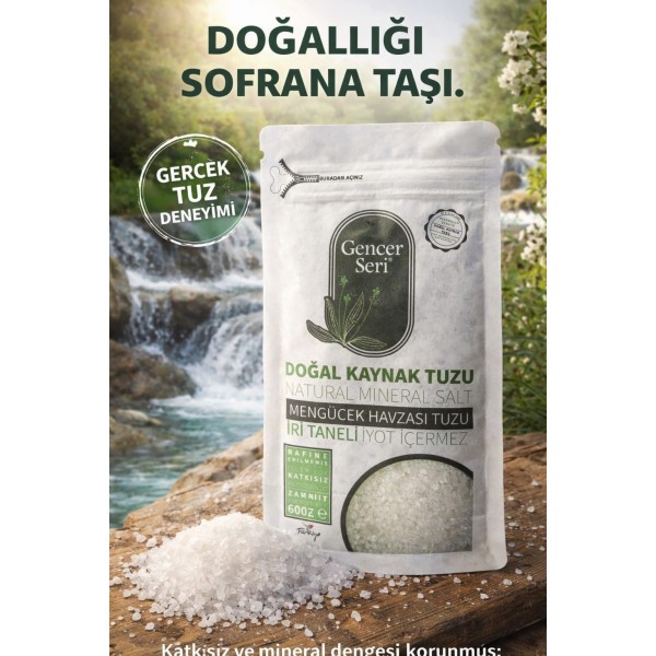 Gencer Seri Doğal Kaynak Tuzu 600 g